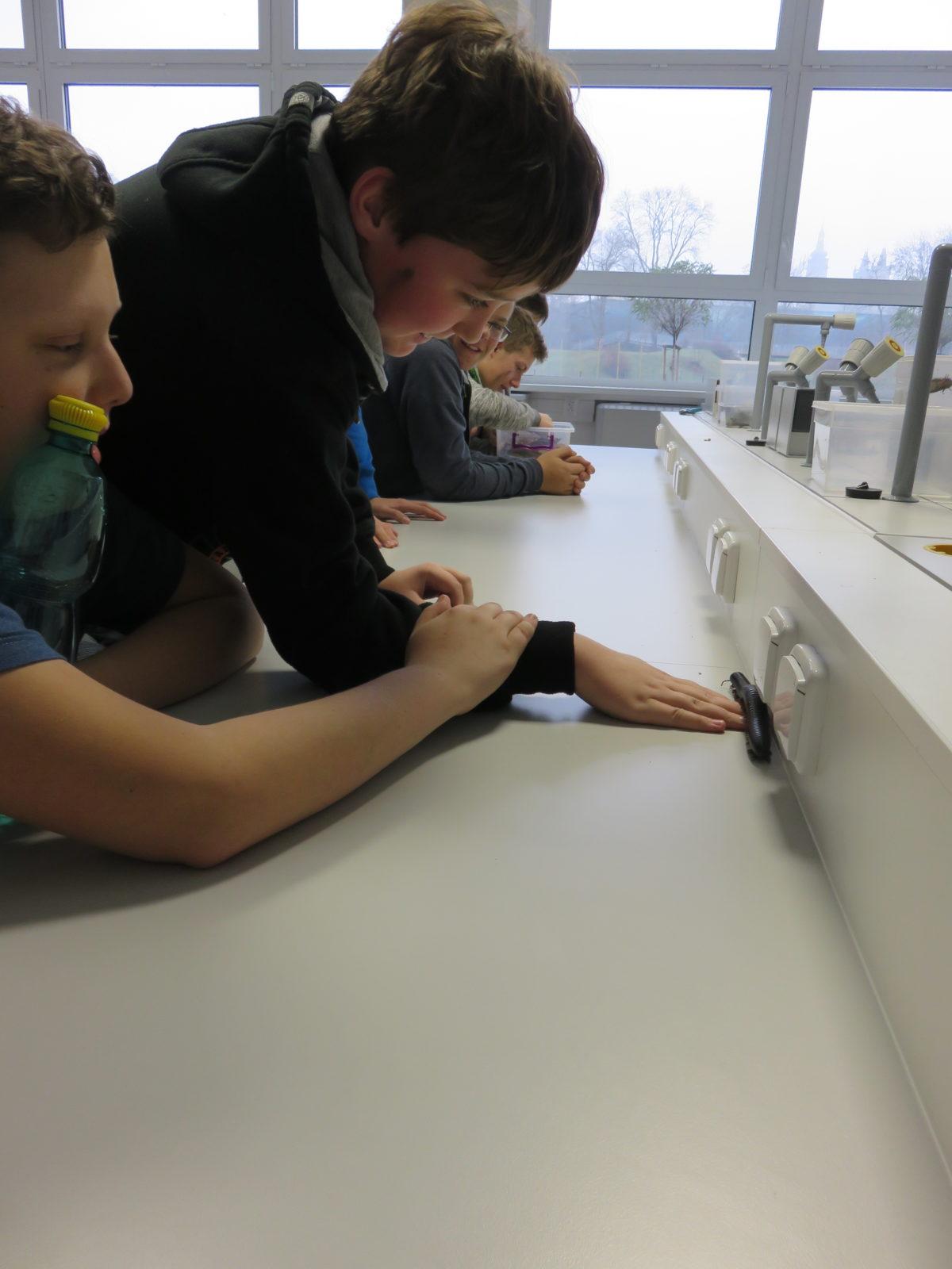 Klub zábavné logiky a deskových her na Univerzitě Hradec Králové - 52