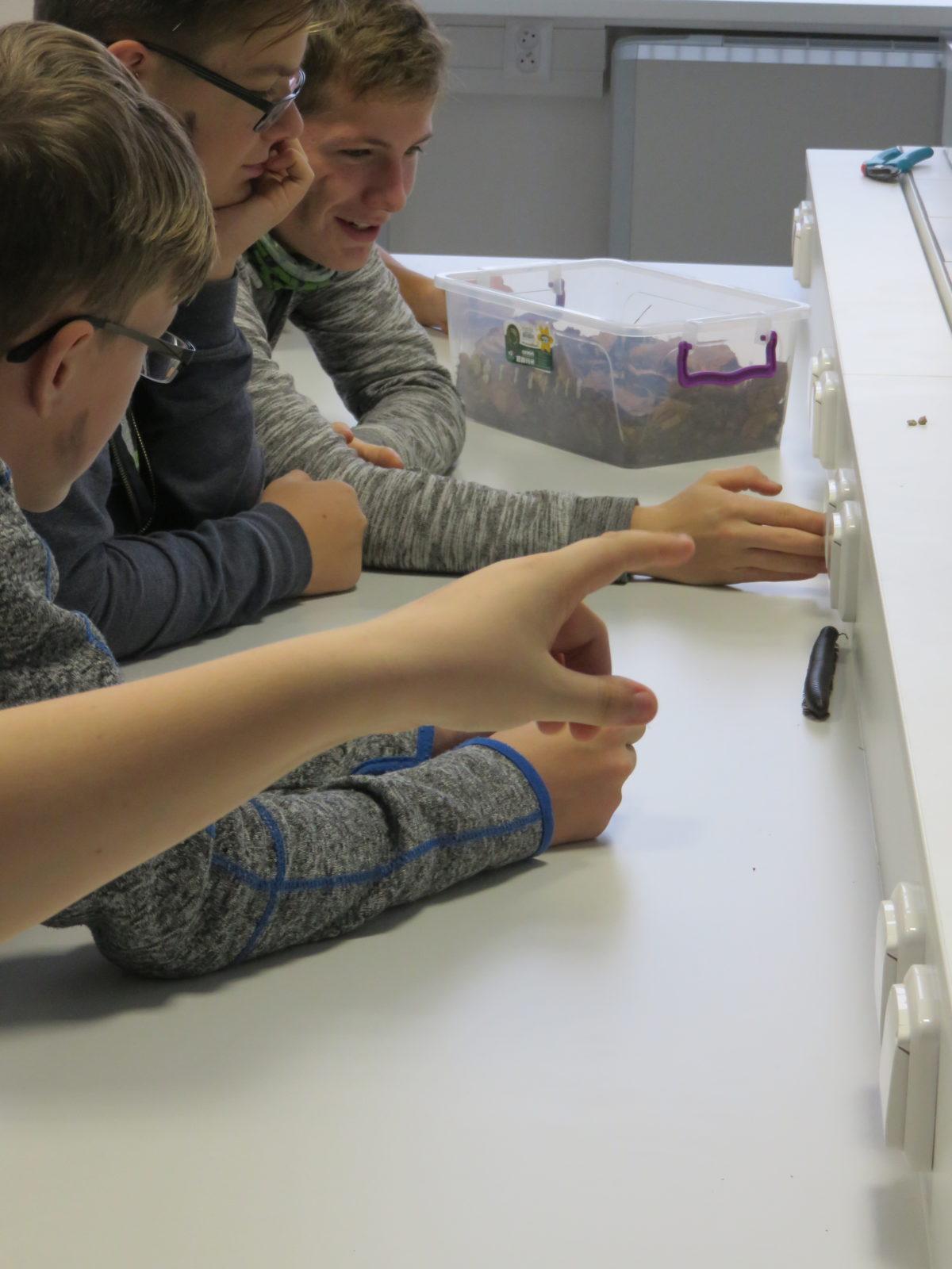 Klub zábavné logiky a deskových her na Univerzitě Hradec Králové - 53