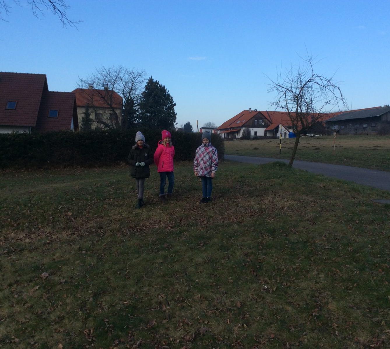 II. oddělení LEDEN - 3