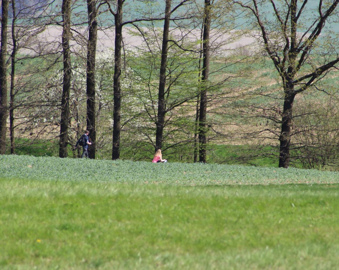 Den Země a Fáboráček - II. stupeň - 30