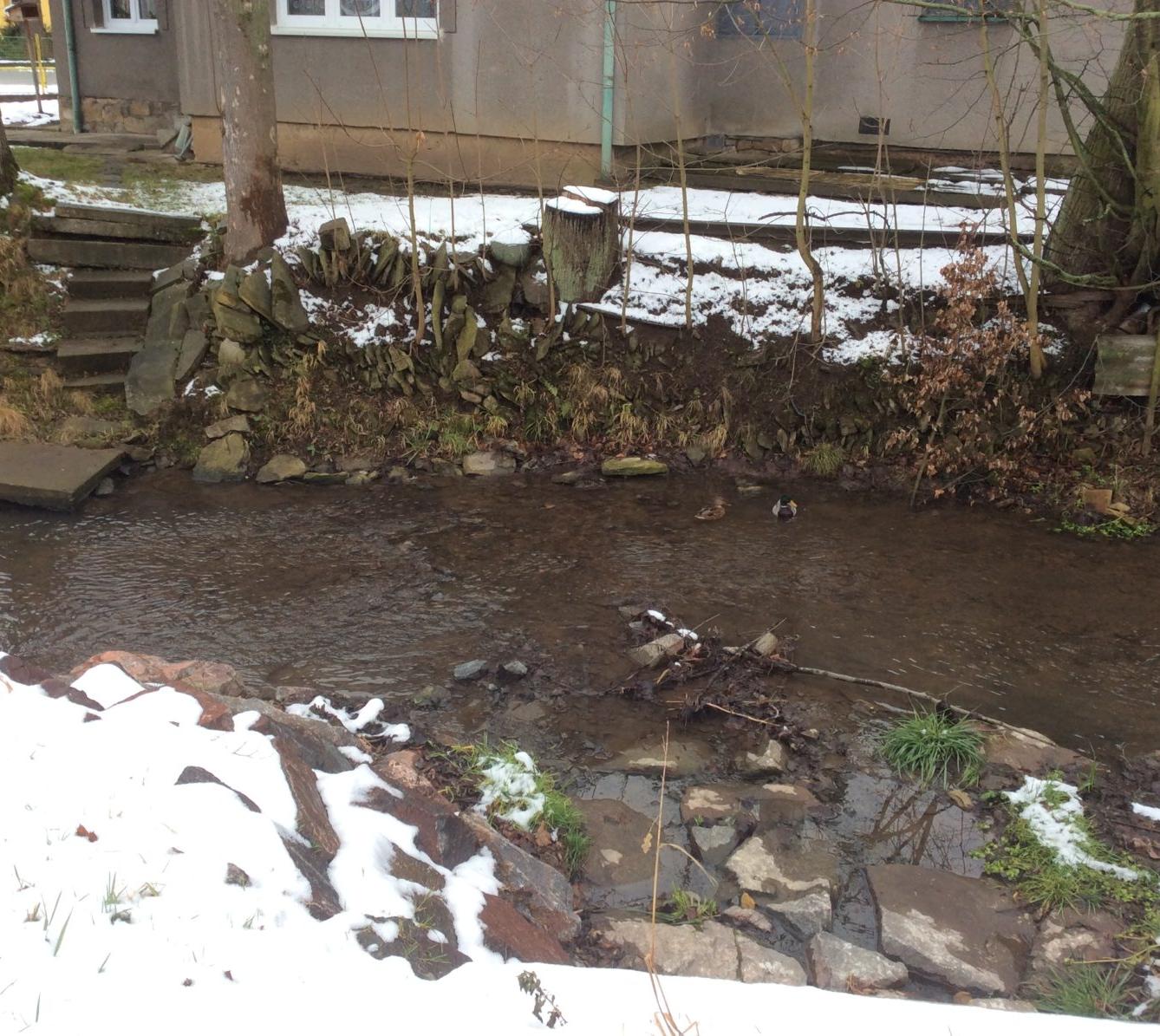 II. oddělení LEDEN - 8