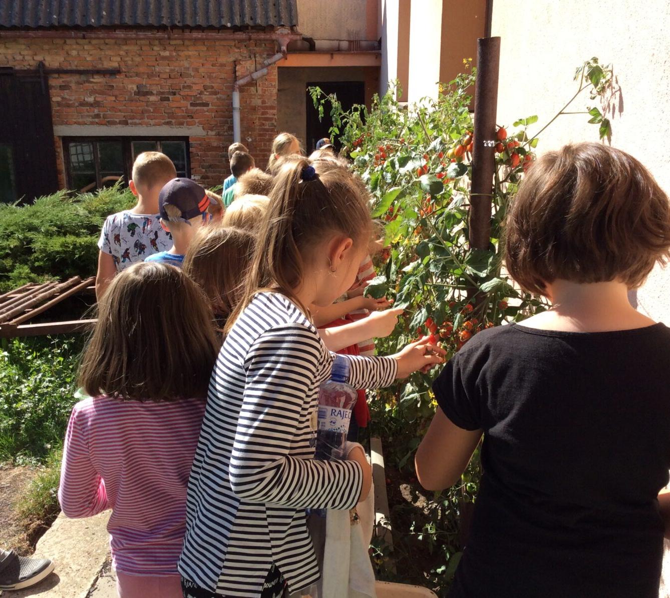 Střípky z prvního pololetí v I. oddělení družiny - 17