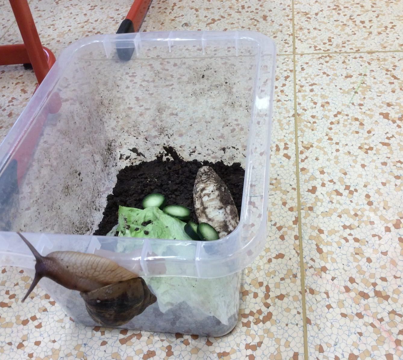 II. ODDĚLENÍ Únor - 44