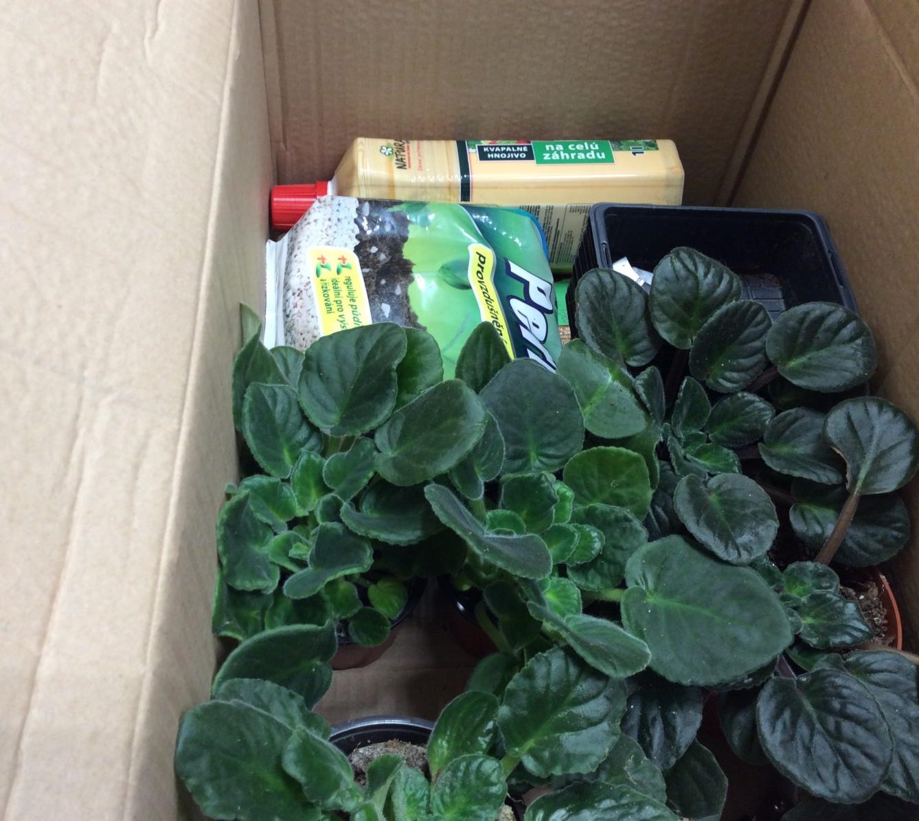 II. ODDĚLENÍ Únor - 71