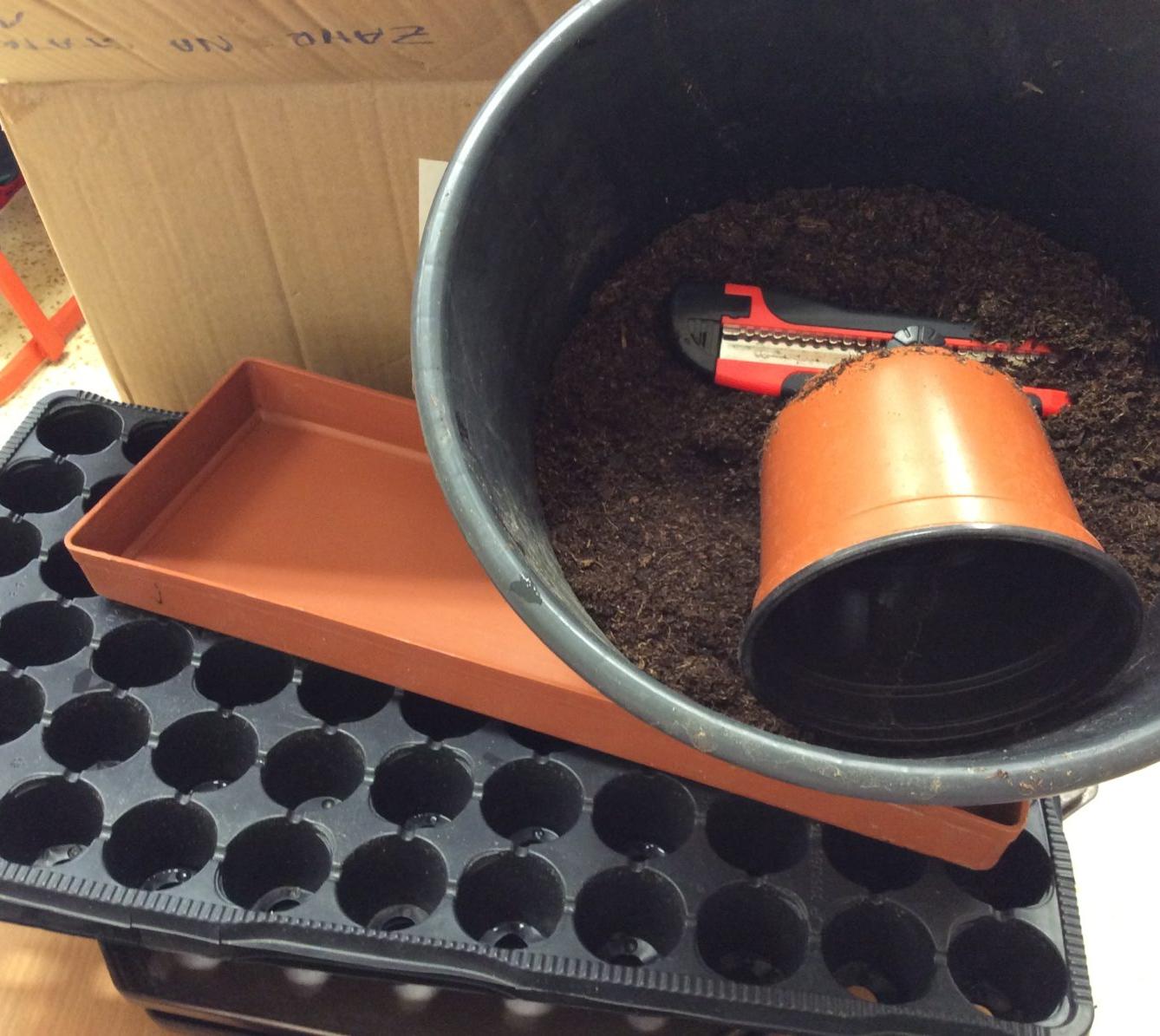 II. ODDĚLENÍ Únor - 72