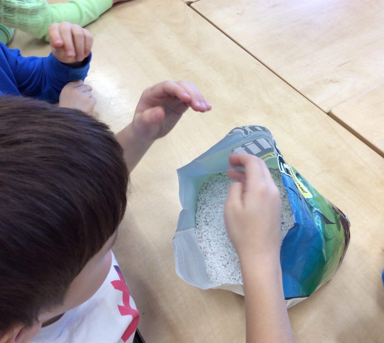 II. ODDĚLENÍ Únor - 75