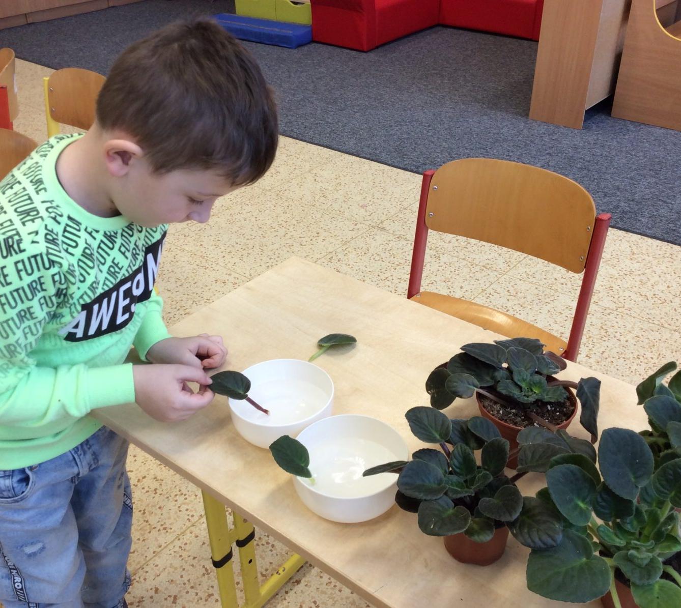 II. ODDĚLENÍ Únor - 77