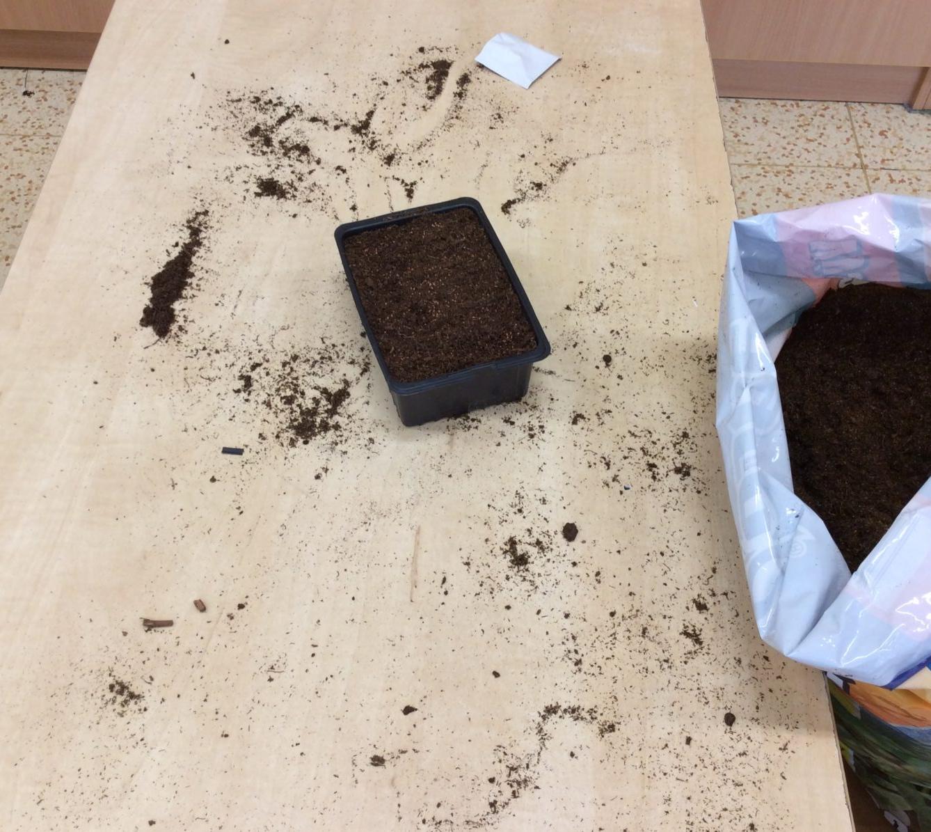 II. ODDĚLENÍ Únor - 81