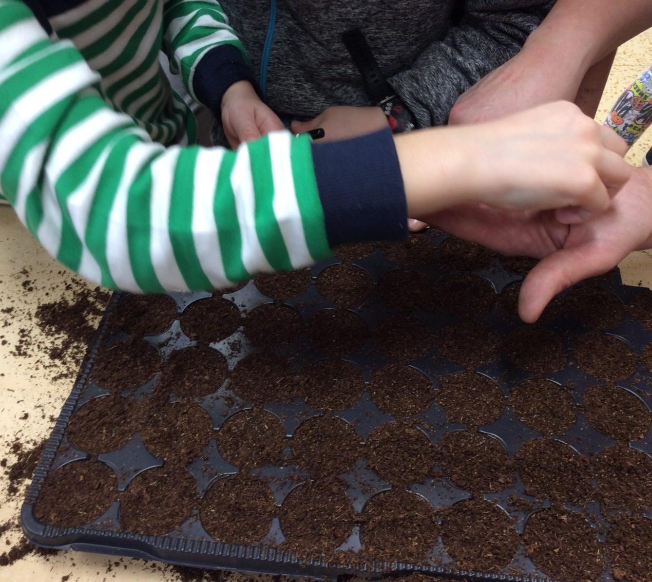 II. ODDĚLENÍ Únor - 86