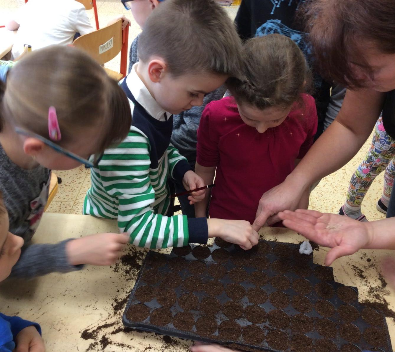 II. ODDĚLENÍ Únor - 87