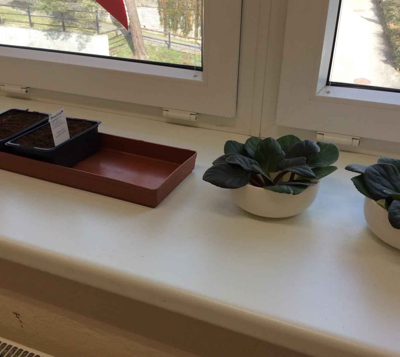 II. ODDĚLENÍ Únor - 88