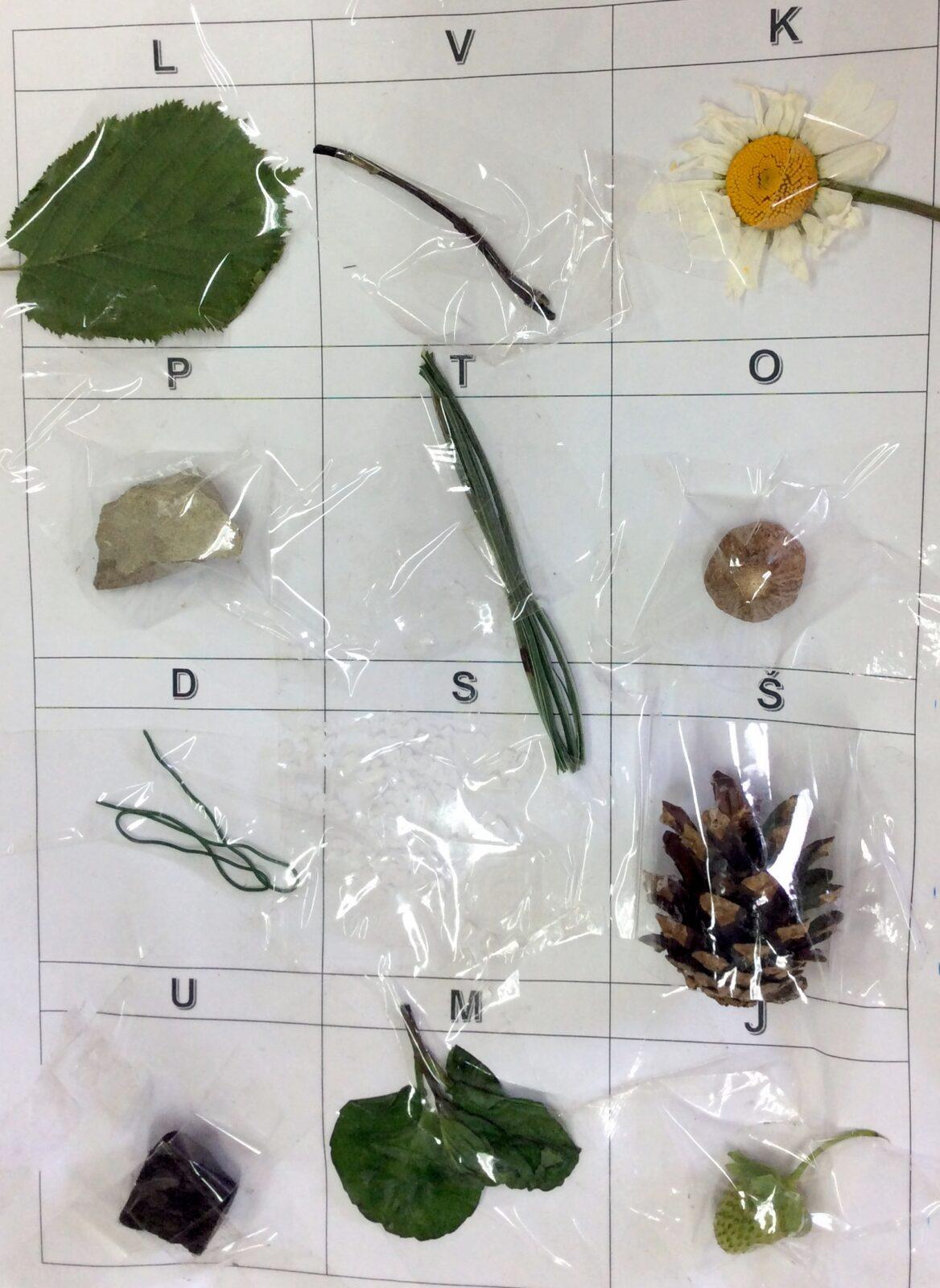 Příroda u třeťáčků 30. 5. - 24