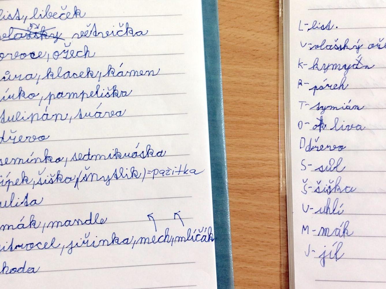 Příroda u třeťáčků 30. 5. - 37