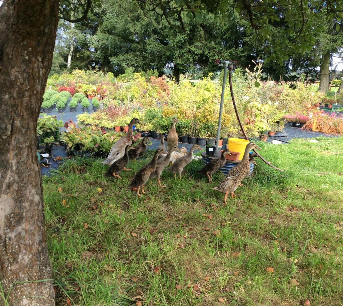 II.oddělení ZÁŘÍ - 19