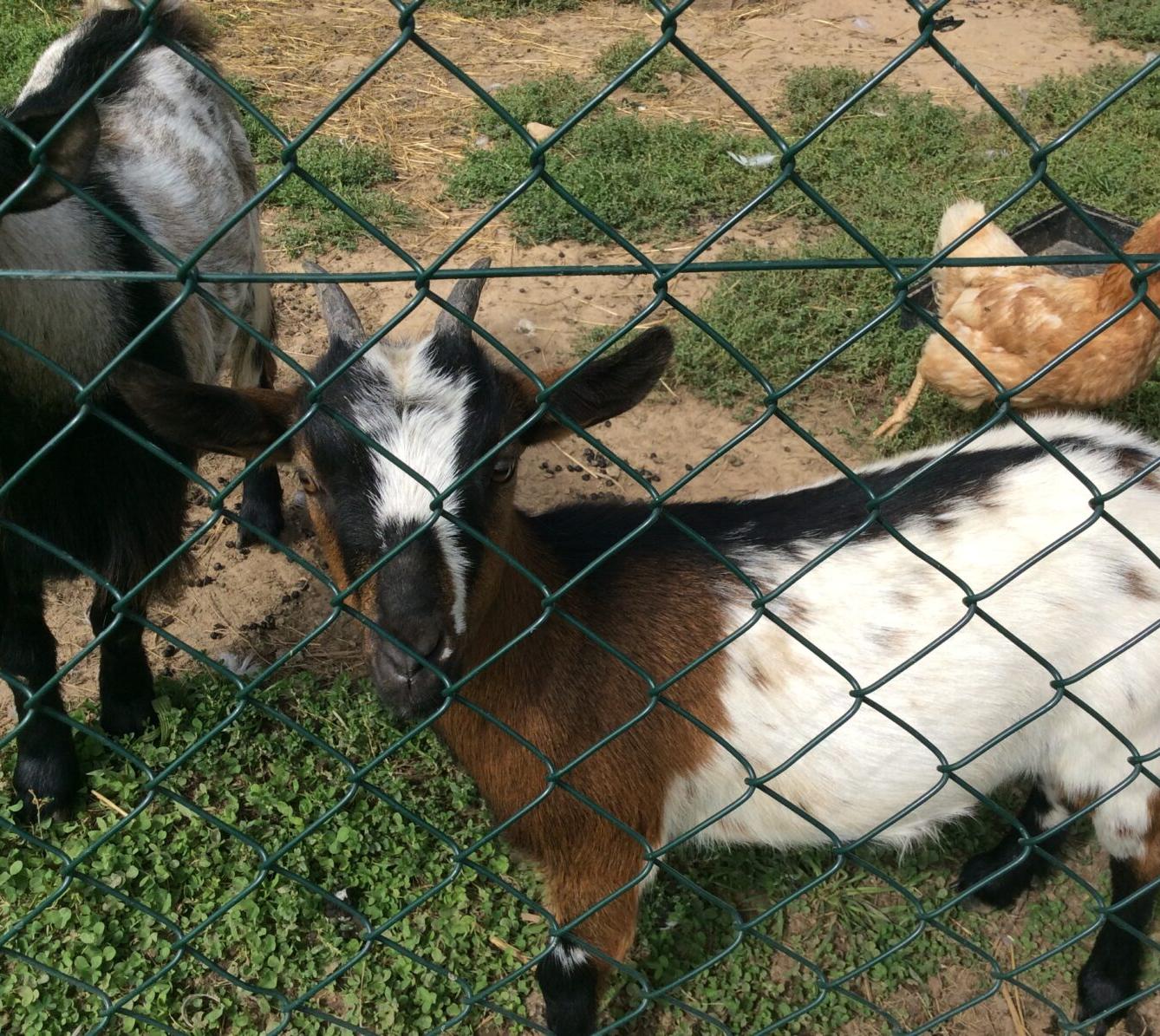 II.oddělení ZÁŘÍ - 22