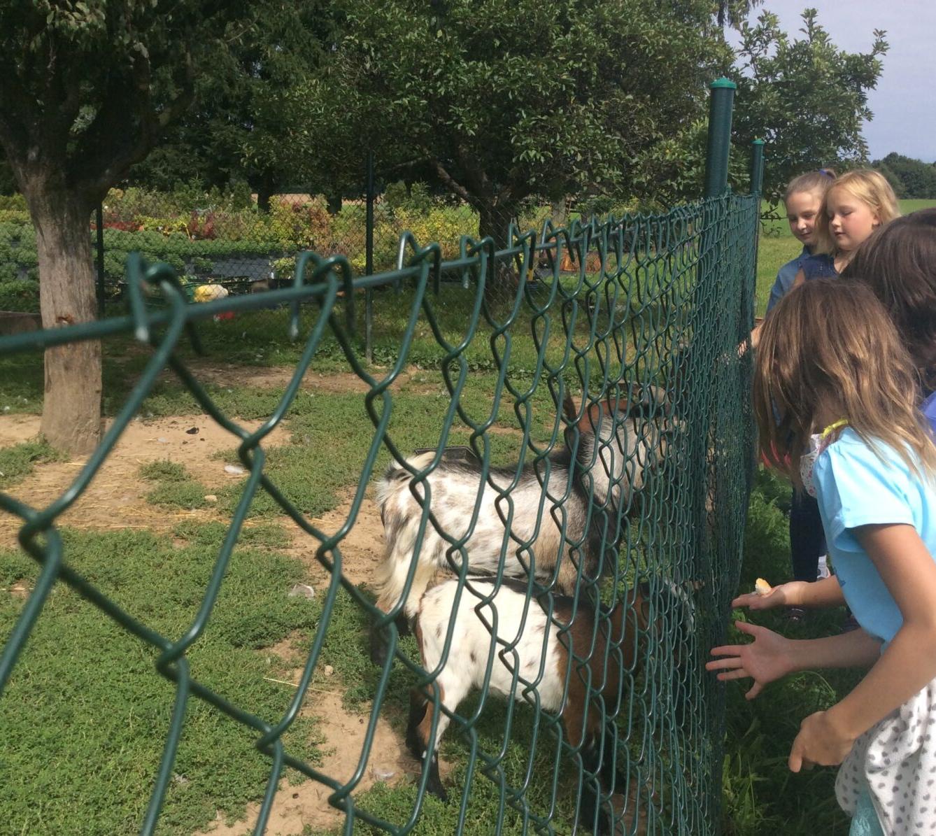 II.oddělení ZÁŘÍ - 30