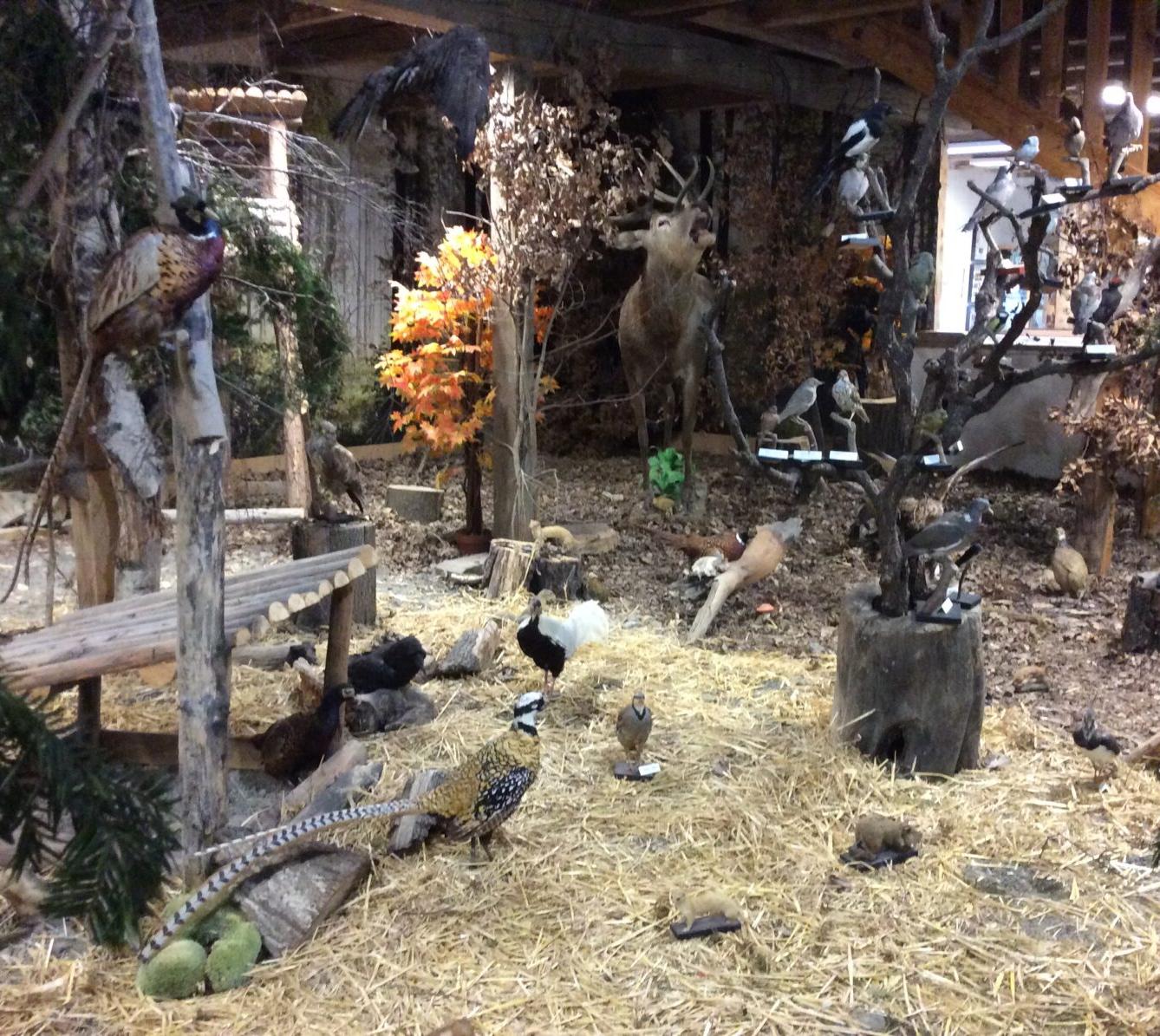 Družinový výlet do Doudleb nad Orlicí - 25