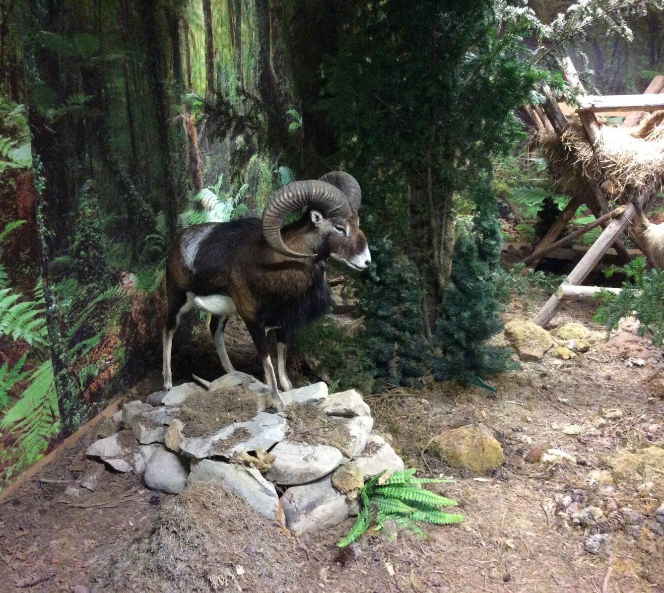 Družinový výlet do Doudleb nad Orlicí - 26