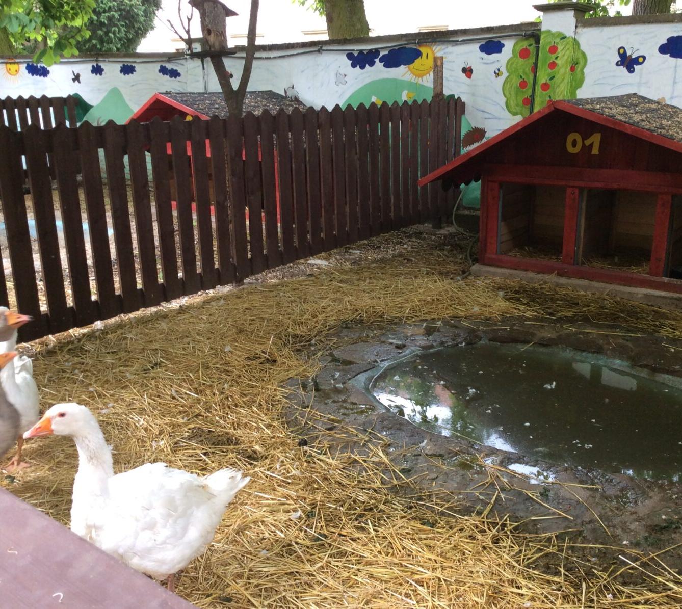 Družinový výlet do Doudleb nad Orlicí - 33