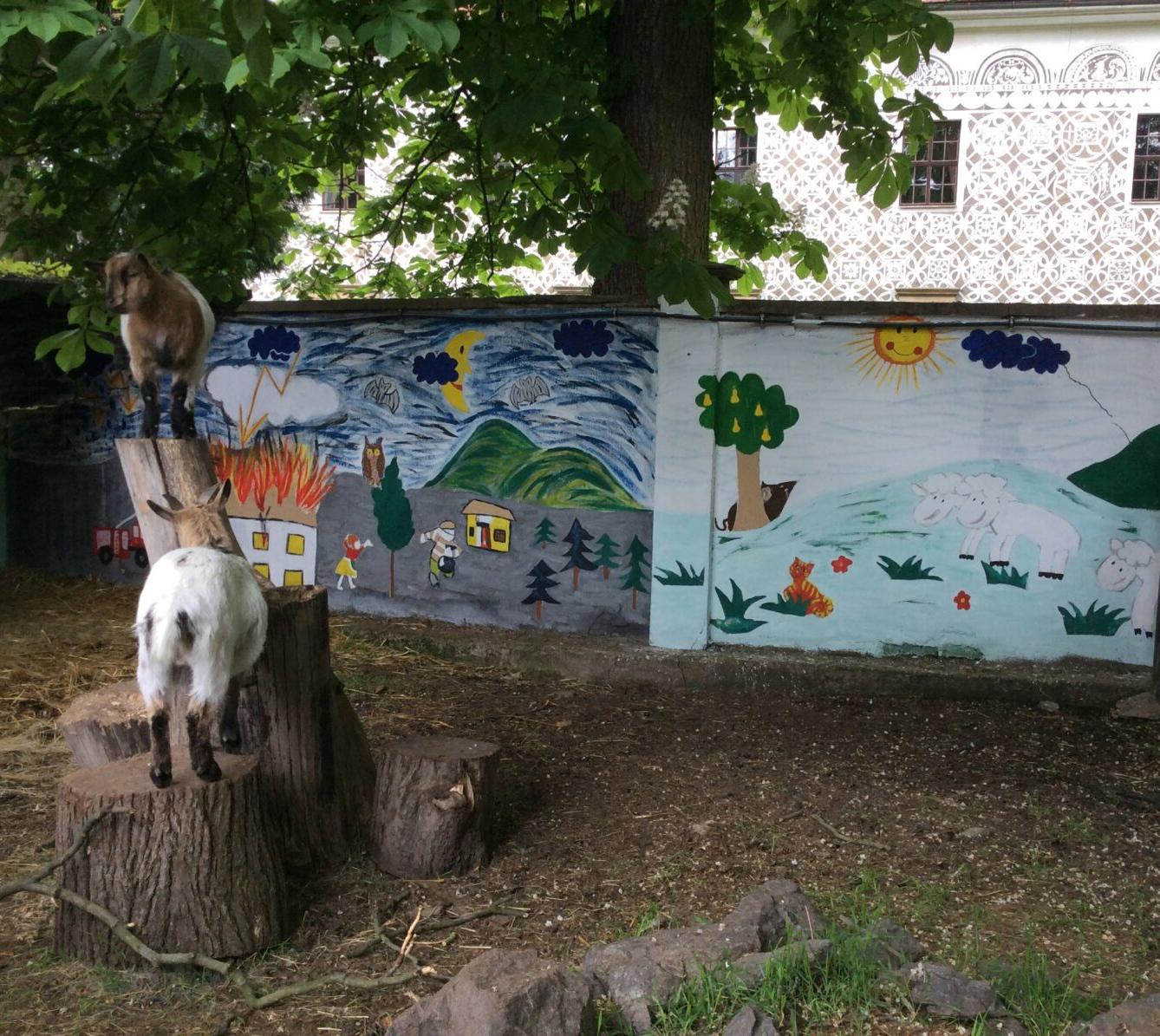 Družinový výlet do Doudleb nad Orlicí - 34