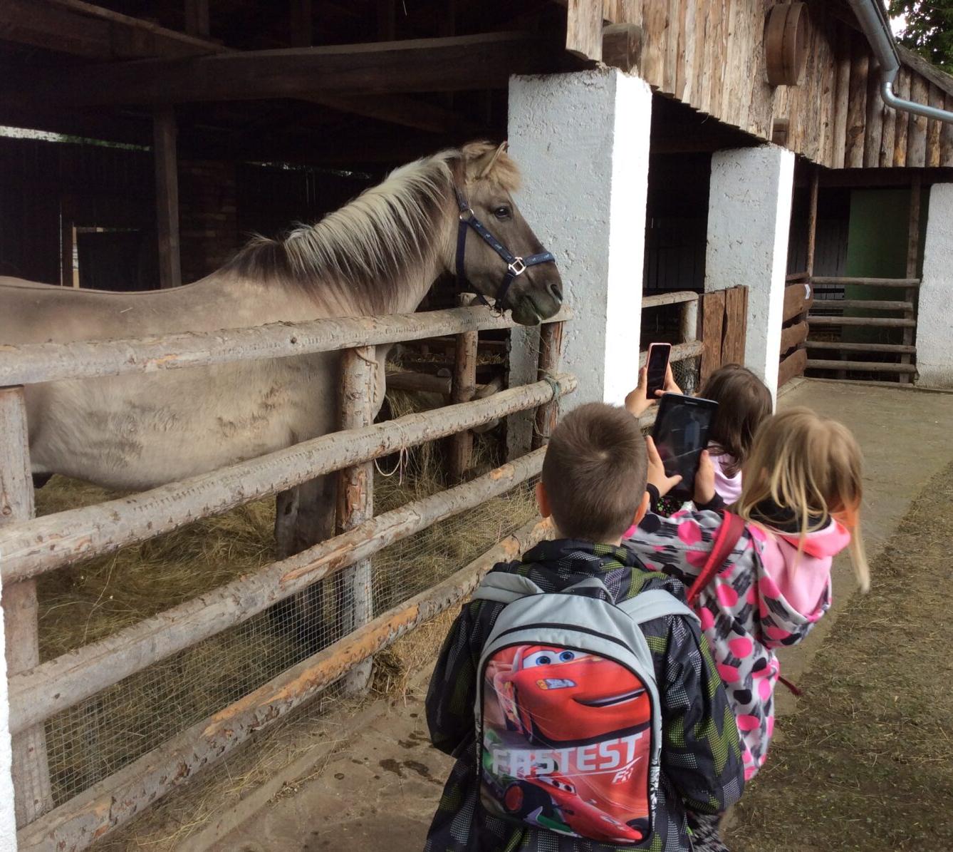 Družinový výlet do Doudleb nad Orlicí - 38