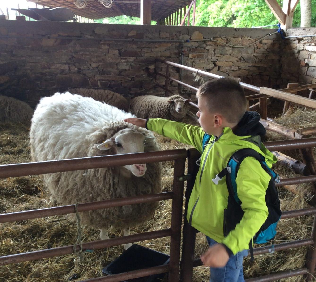 Družinový výlet do Doudleb nad Orlicí - 39