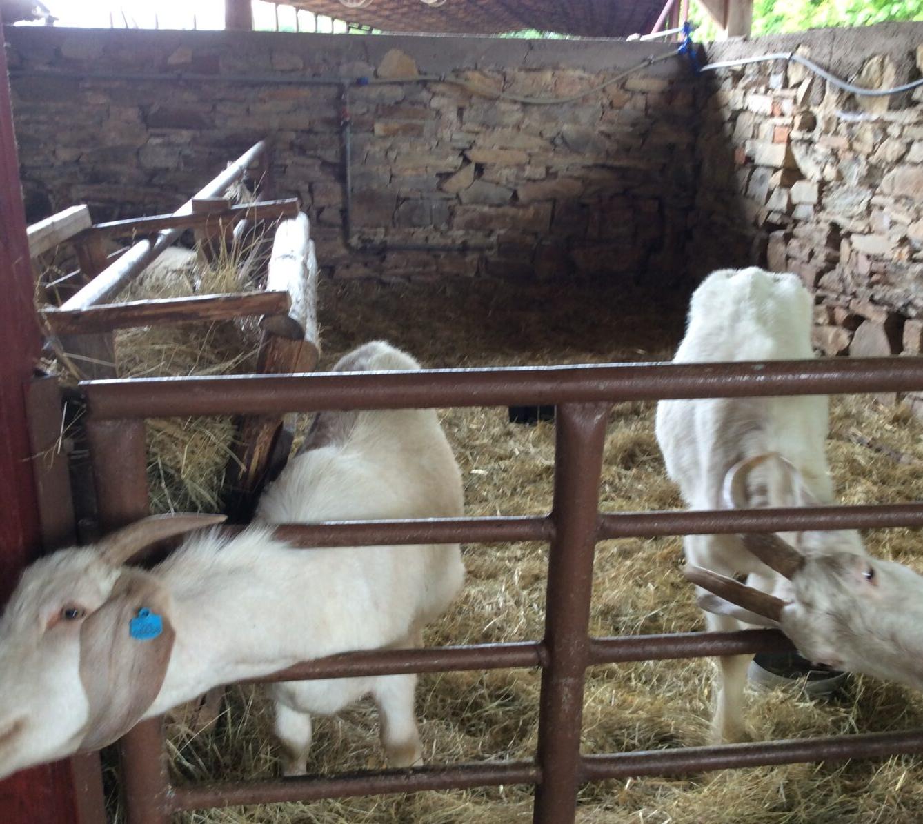 Družinový výlet do Doudleb nad Orlicí - 40