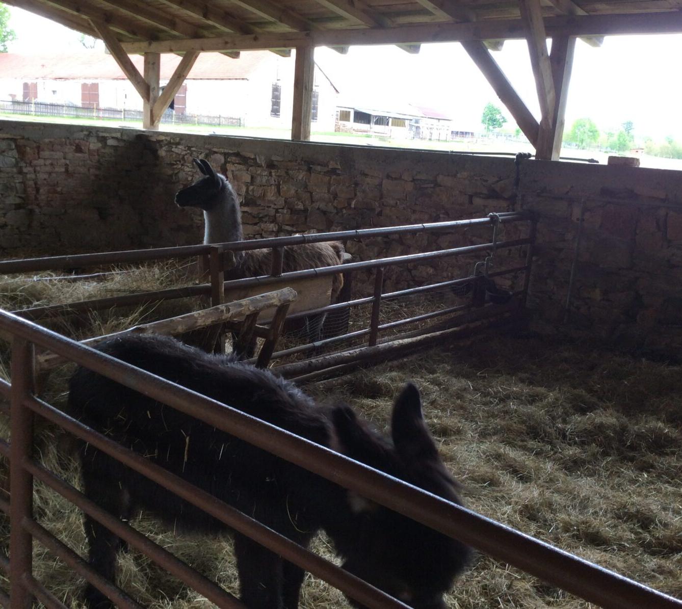 Družinový výlet do Doudleb nad Orlicí - 41