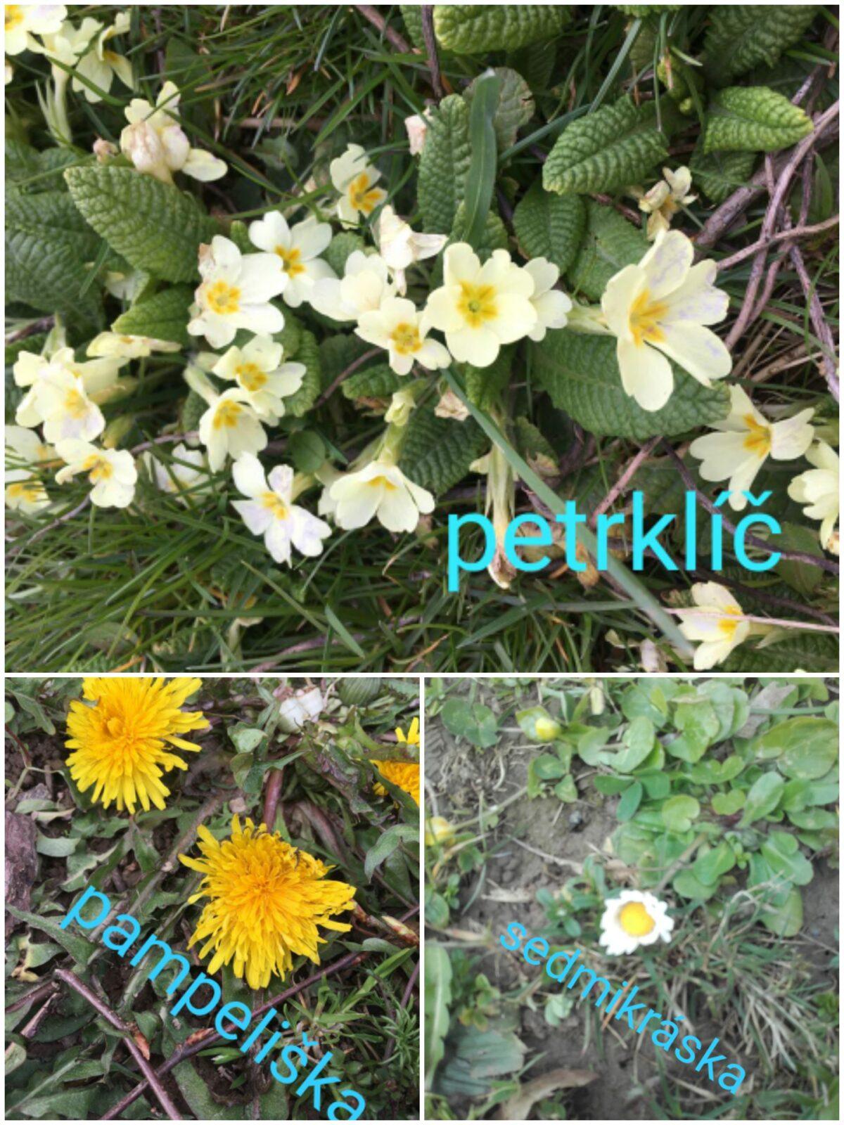 Distanční výuka ve třetí třídě 16. 4. - 9