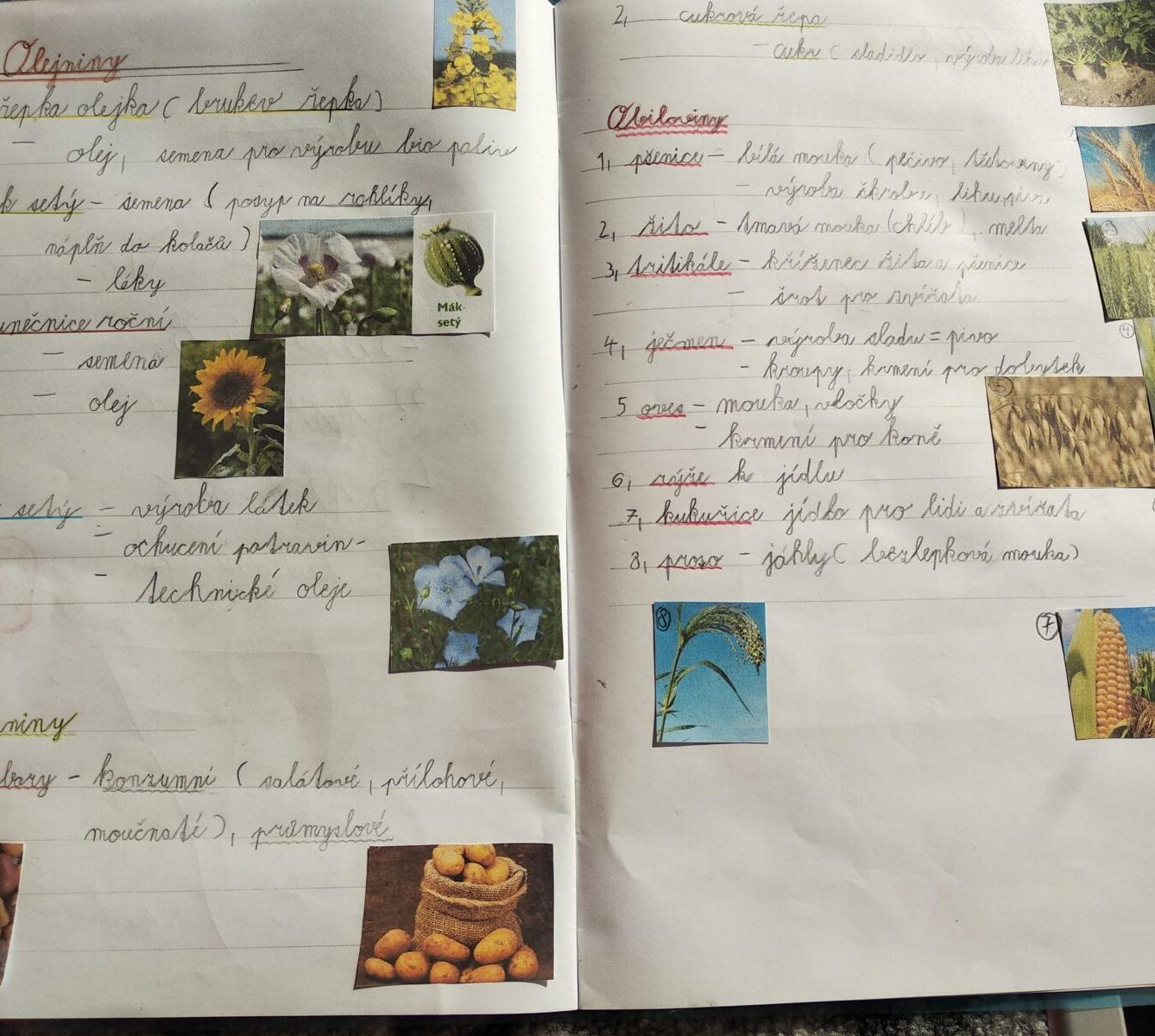 Distanční výuka ve třetí třídě 23. 10. - 16