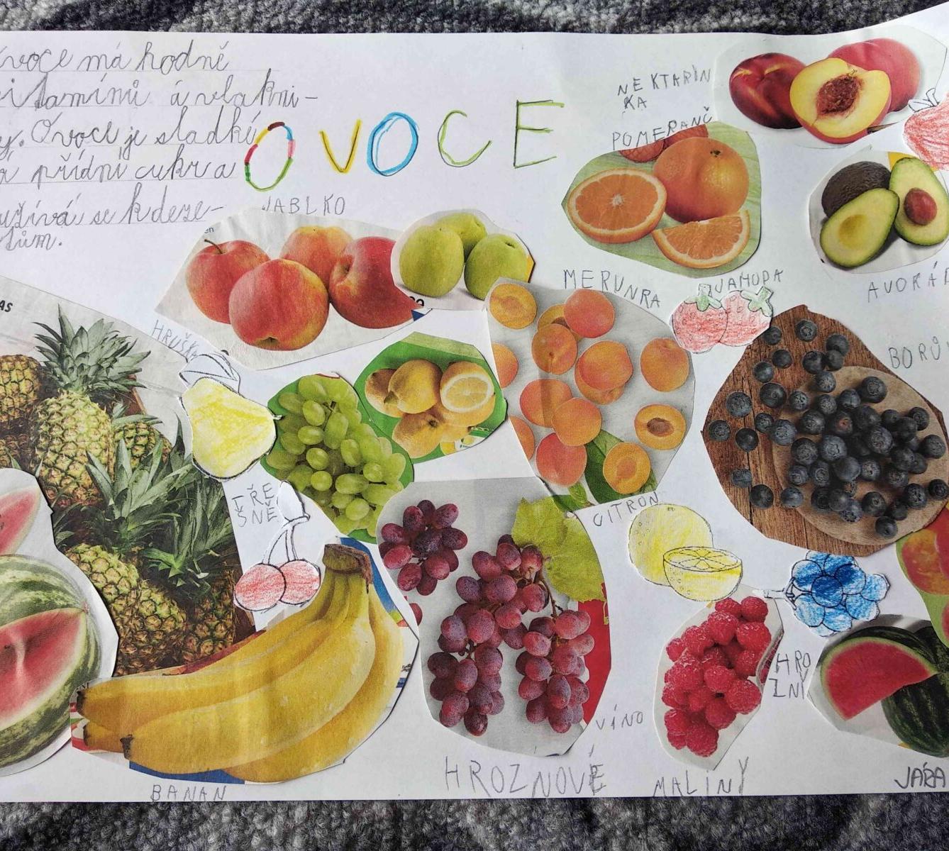 Výstupy druháčků z domácího učení 24. 5. - 2