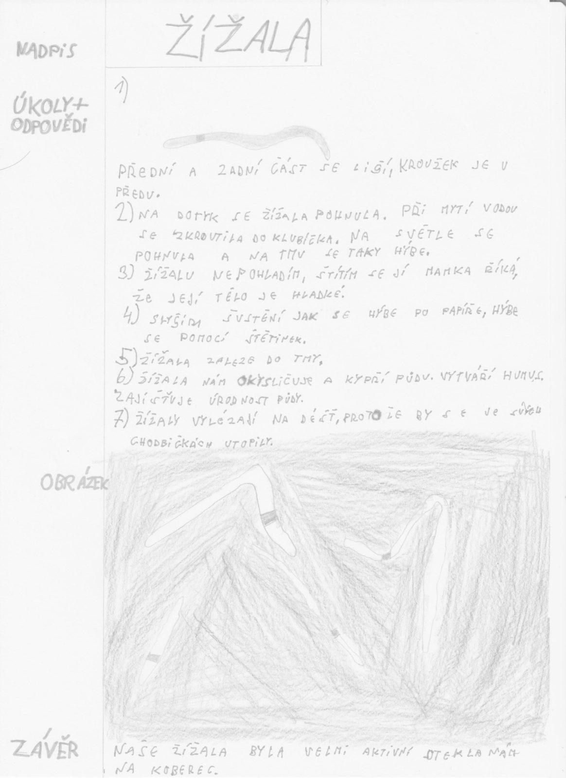 Jak zkoumali šesťáci žížaly - 6