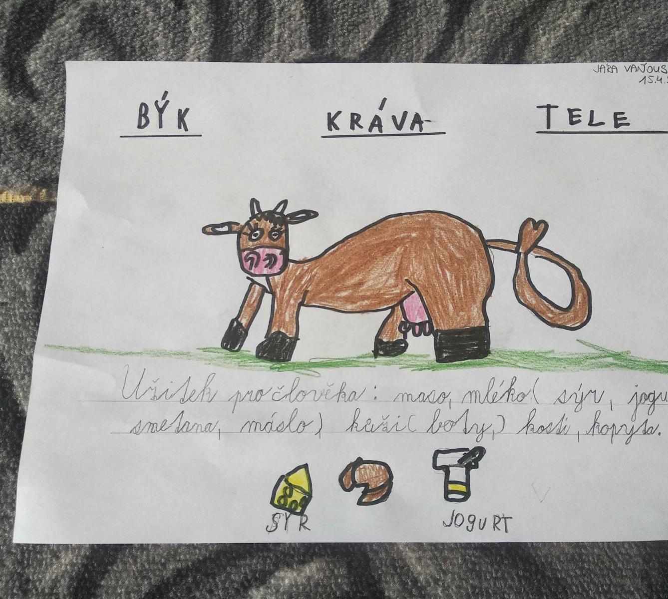 Výstupy druháčků z domácího učení 16. 4. - 5