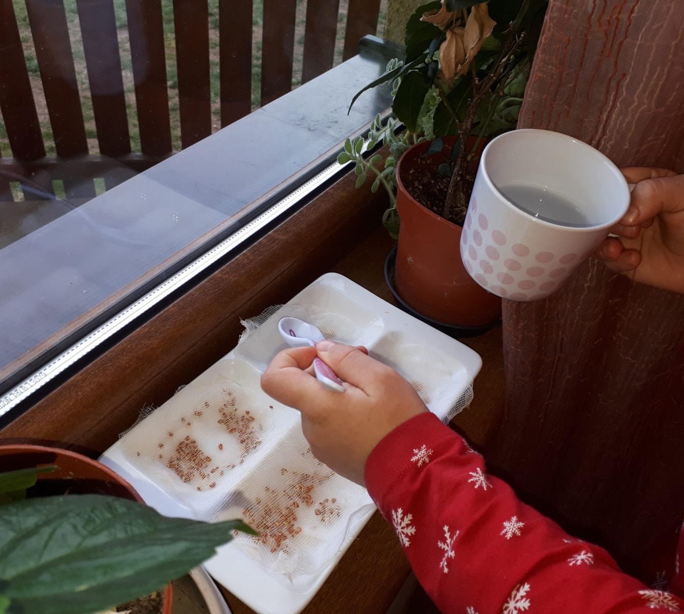 Aktivity druháčků v rámci domácího učení - 6