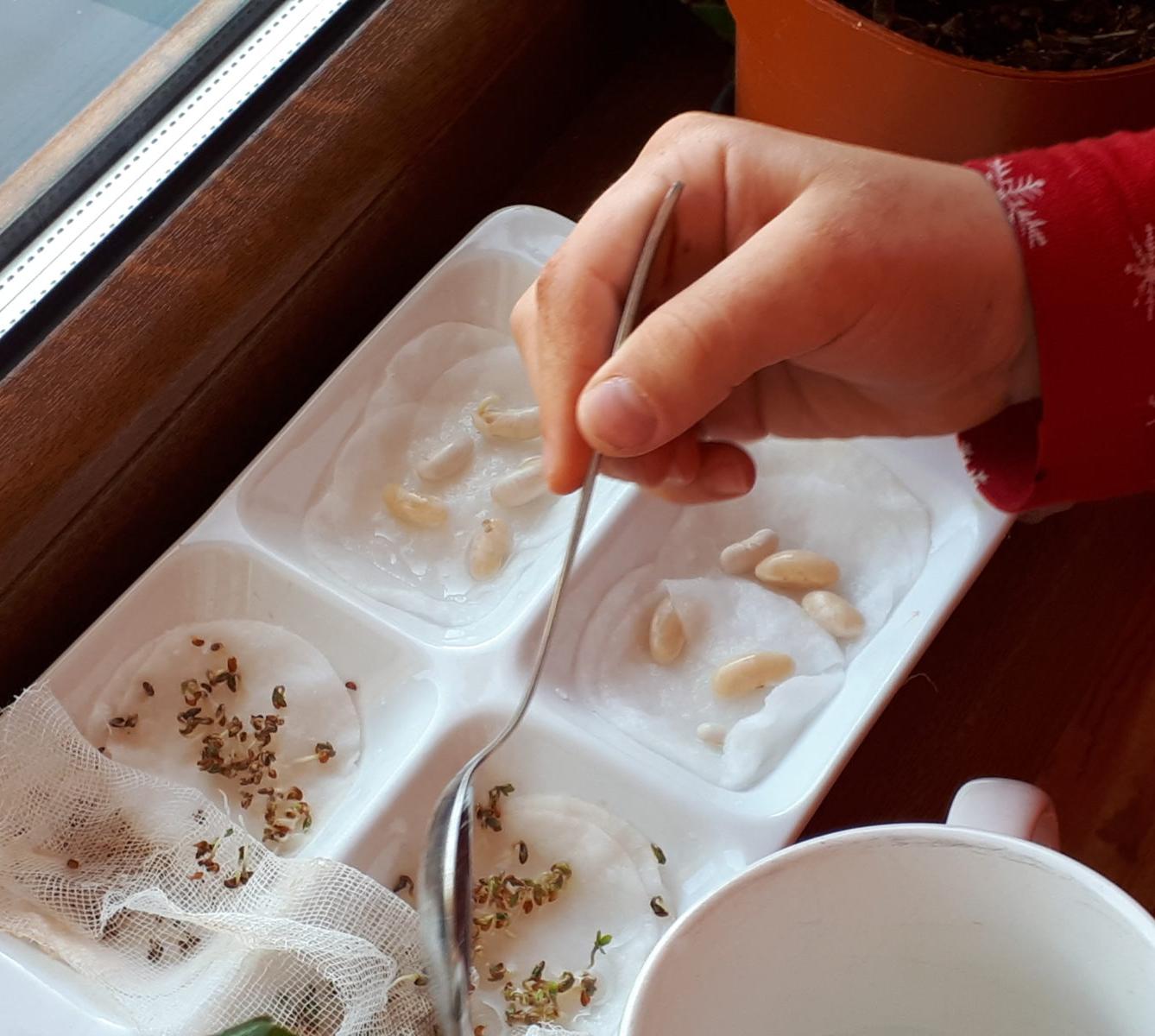 Aktivity druháčků v rámci domácího učení - 7