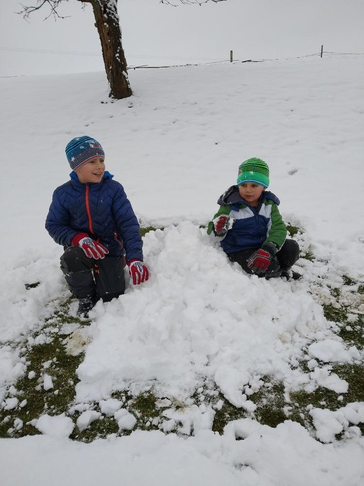 Distanční výuka ve třetí třídě 8. 1. - 4