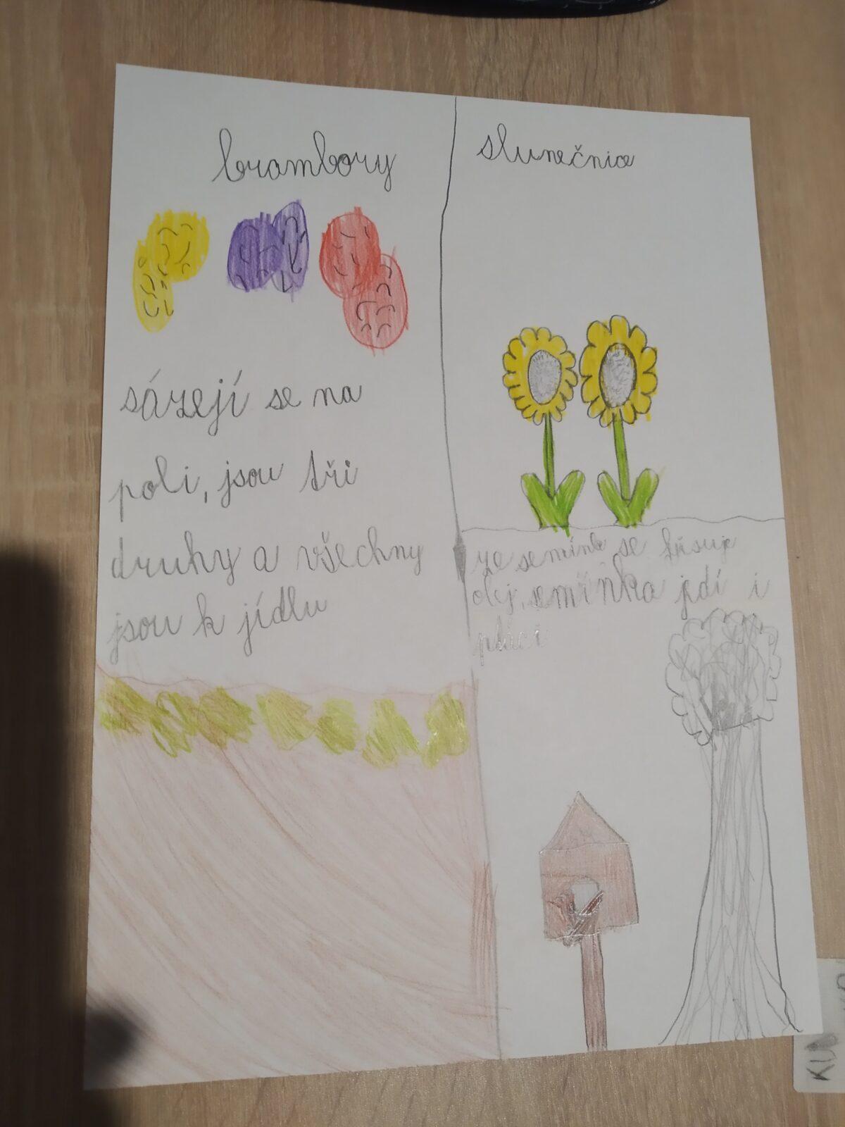 Distanční výuka ve třetí třídě 23. 10. - 19