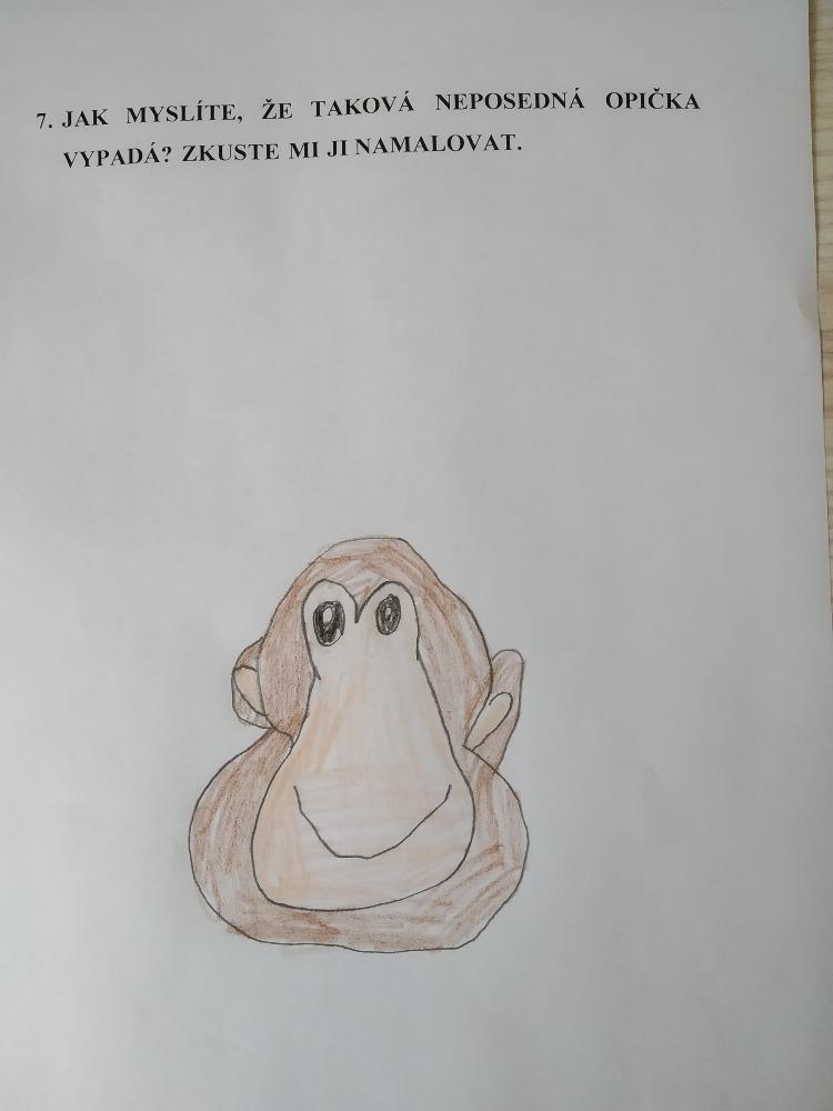 Výstupy druháčků z domácího učení 8. 5. - 2