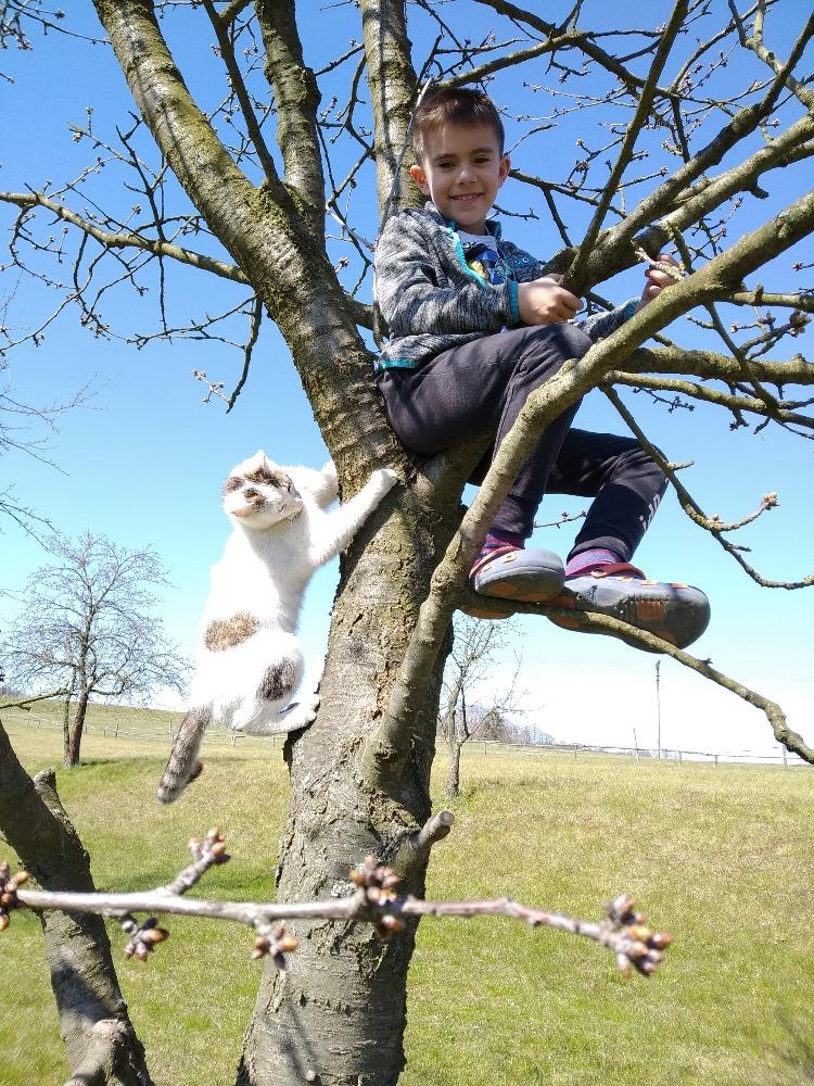 Výstupy druháčků z domácího učení 8. 4. - 9