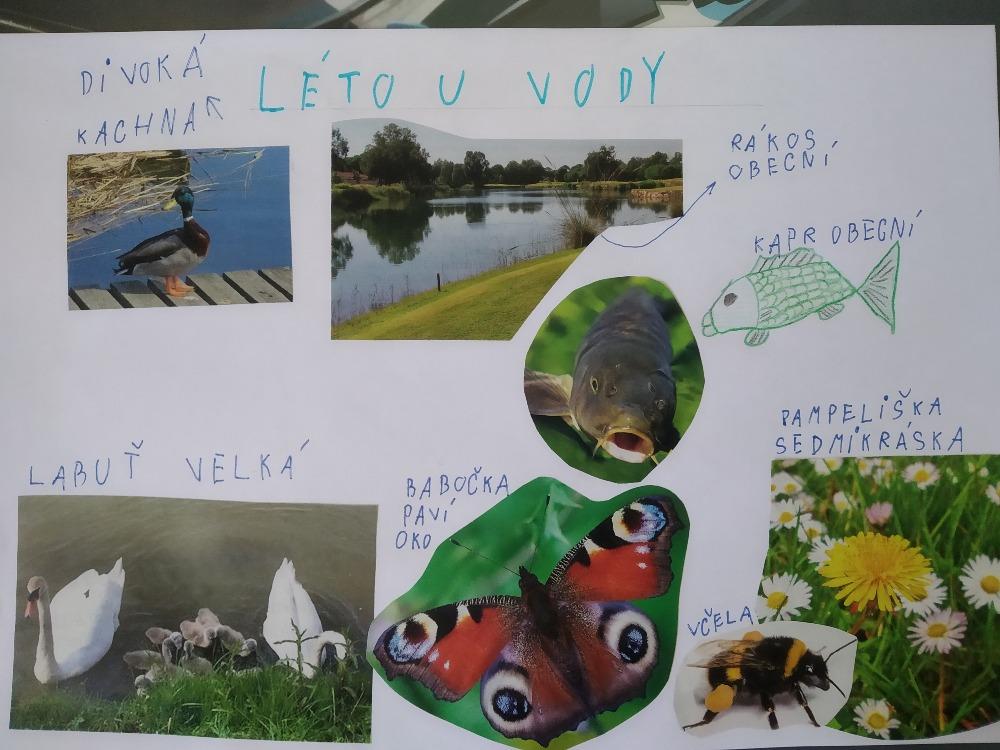 Výstupy druháčků z domácího i školního učení 12. 6. - 5