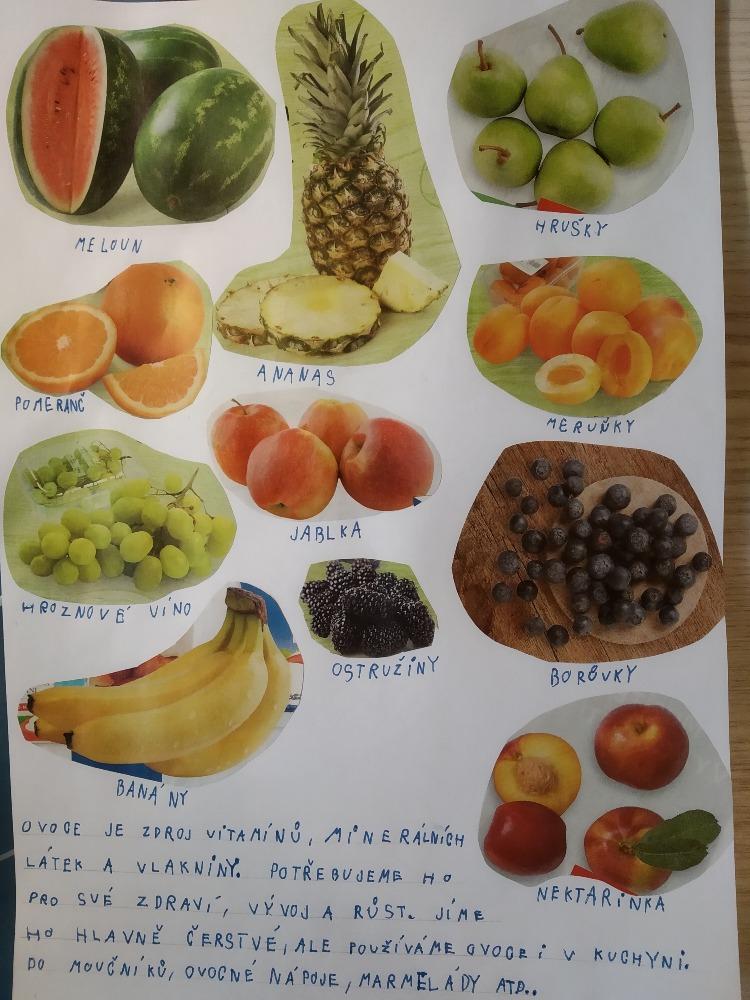 Výstupy druháčků z domácího učení 24. 5. - 12