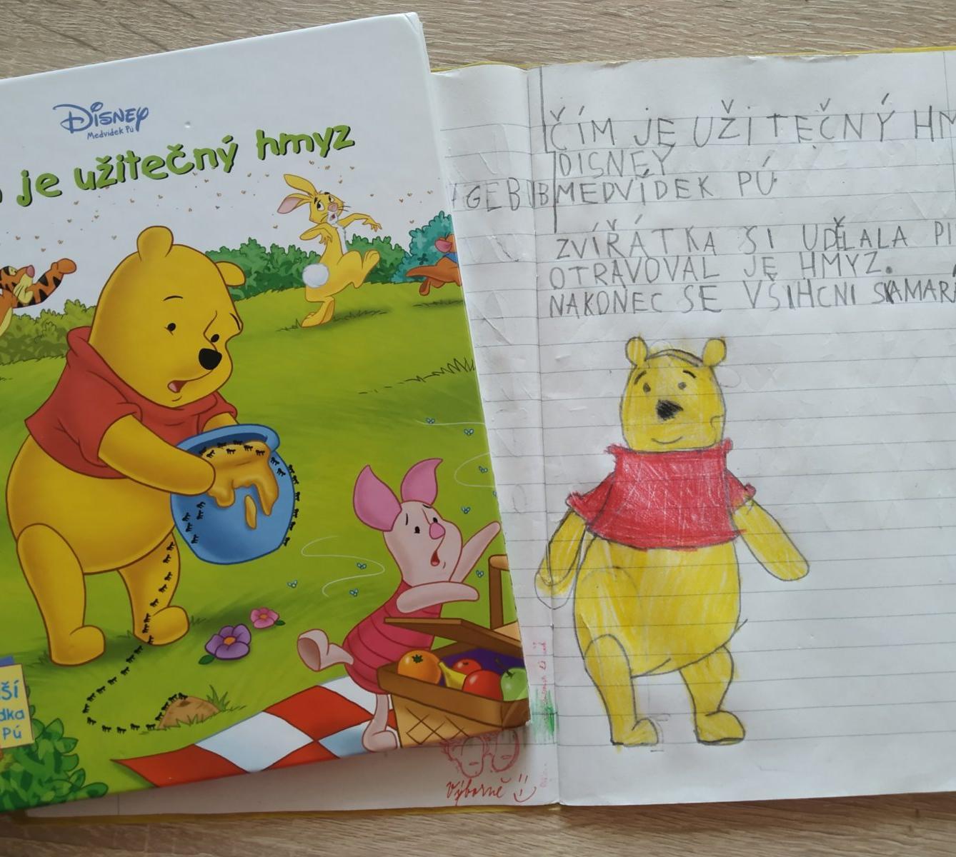 Výstupy druháčků z domácího učení 20. 4. - 7