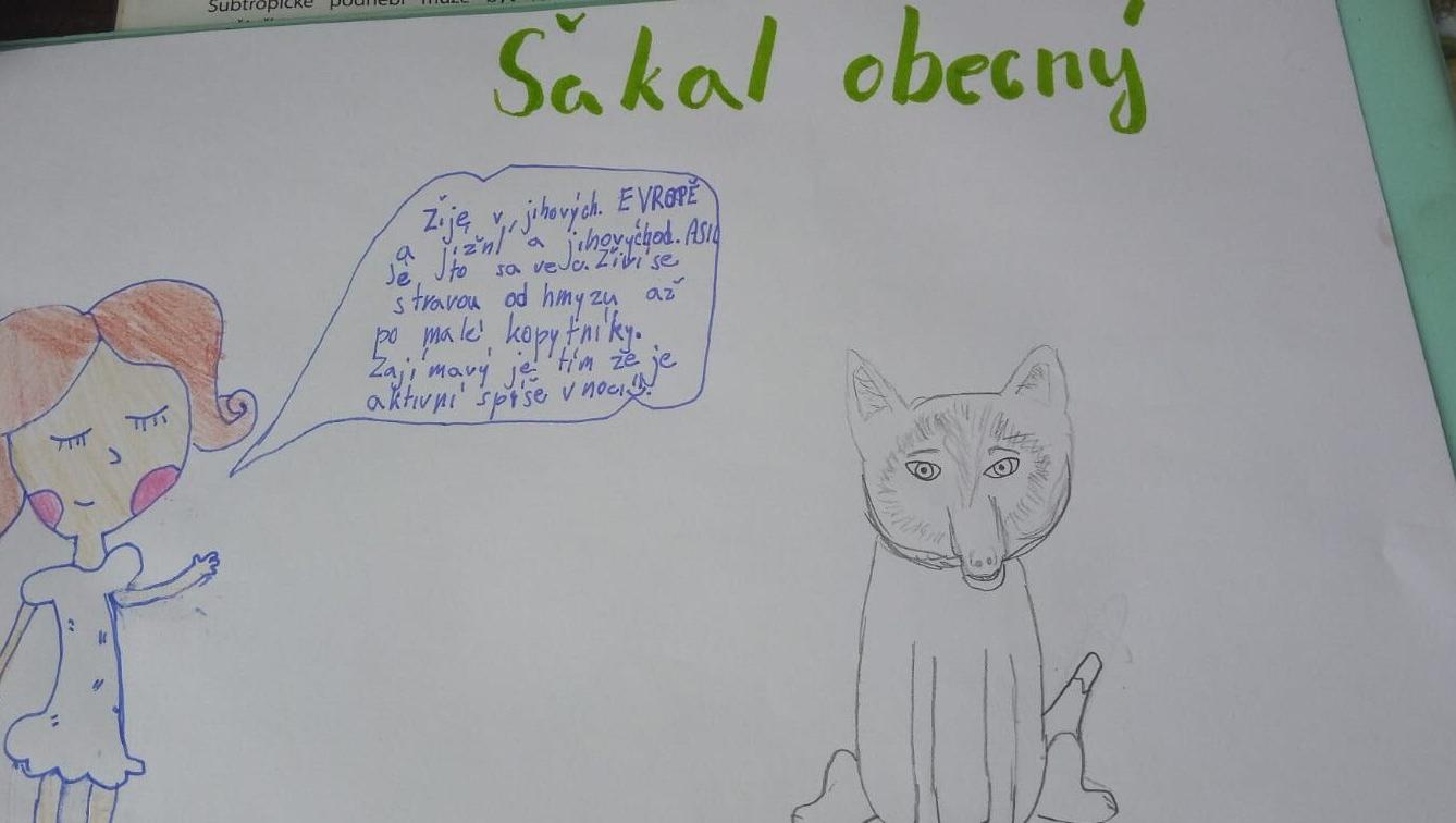 Škola doma v 5.B - 12