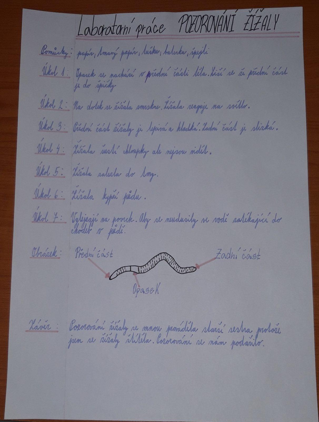 Jak zkoumali šesťáci žížaly - 7