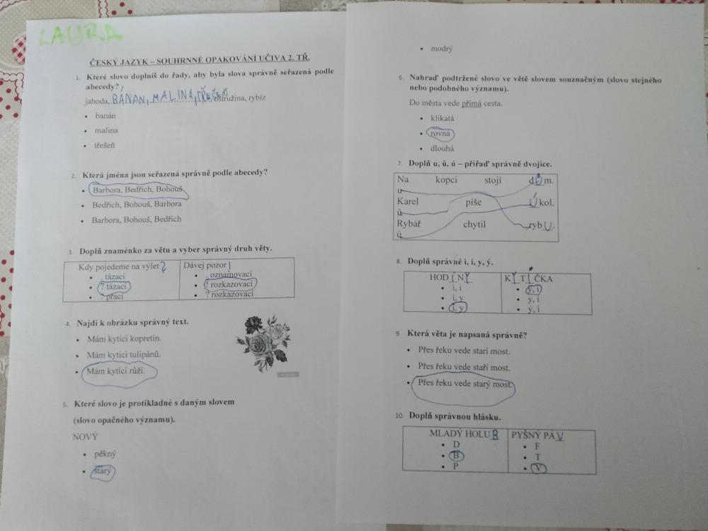 Výstupy druháčků z domácího učení 12. 5. - 13