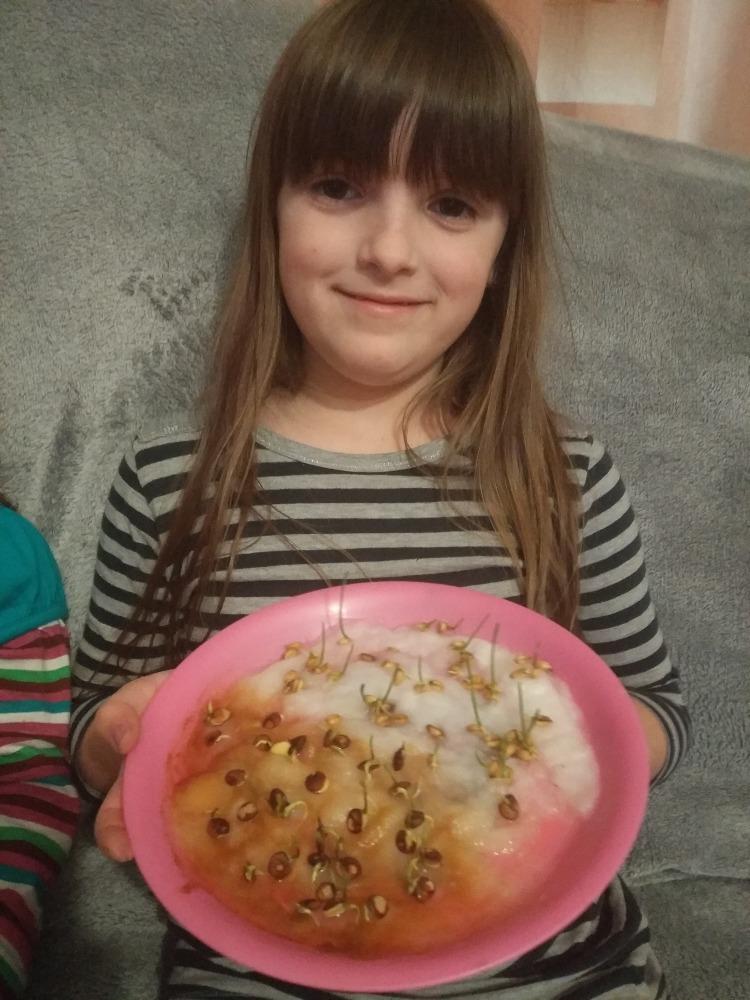 Aktivity druháčků v rámci domácího učení - 11