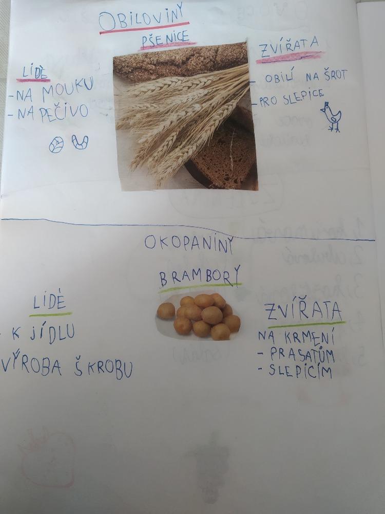Distanční výuka ve třetí třídě 23. 10. - 21