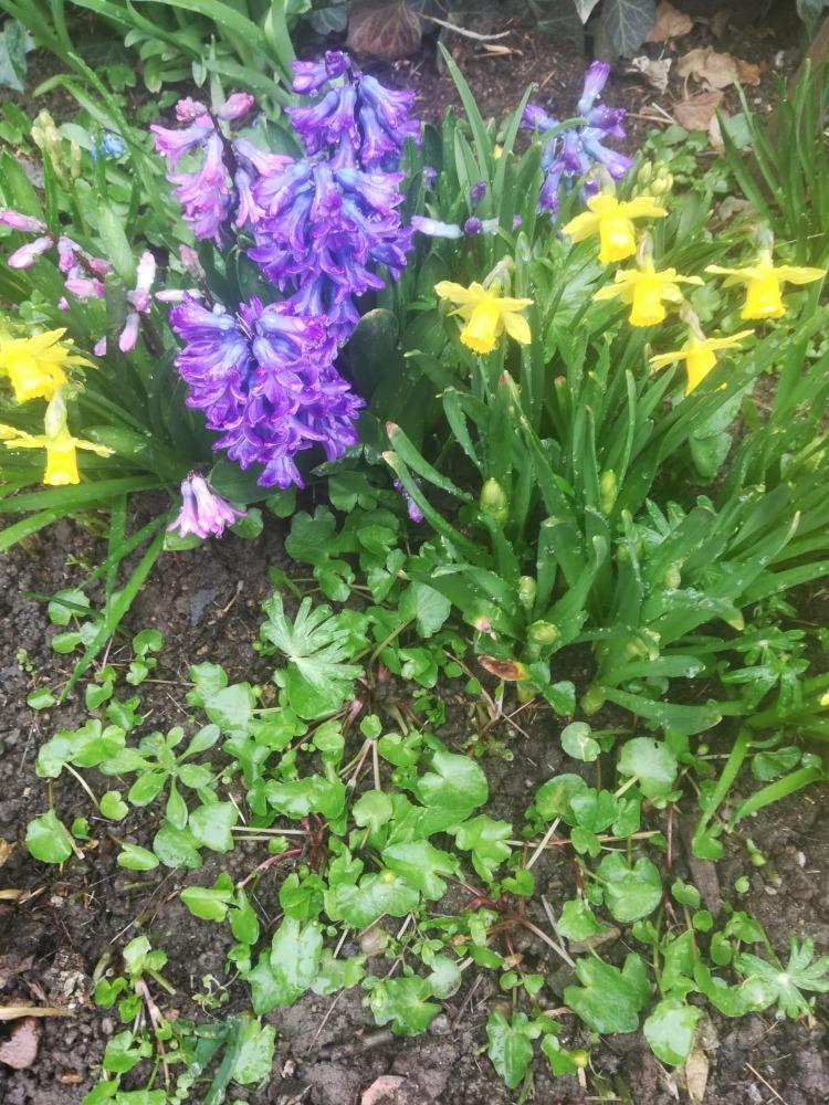 Distanční výuka ve třetí třídě 16. 4. - 16