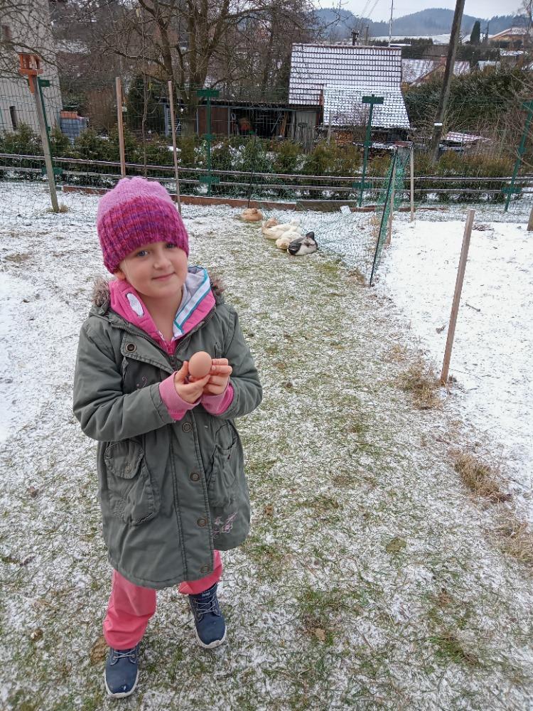 Distanční výuka v 1. třídě pokračuje :-) - 17