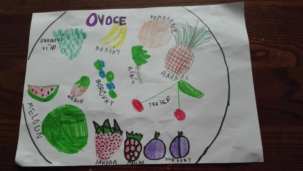 Výstupy druháčků z domácího učení 21. 5. - 7